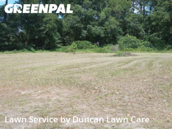 Grass Cutting nearby Valdosta, FL, 