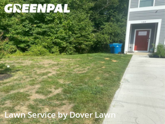 Lawn Care Service nearby Dover, DE, 