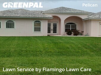 Yard Cutting nearby Cape Coral, FL, 