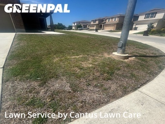 Lawn Mow nearby San Antonio, TX, 
