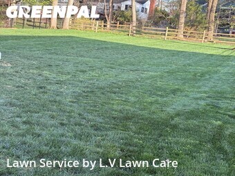 Lawn mowed in Fairfax, 22030