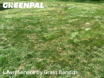 Lawn Mow nearby Billings, MT, 