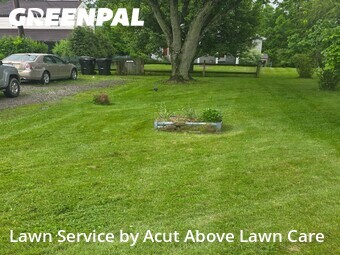 Lawn Care nearby Bethel Park, PA, 