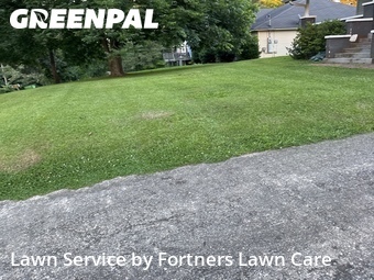 Lawn Maintenance nearby Leeds, AL, 