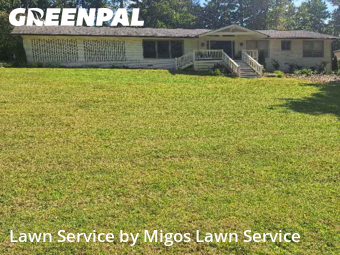 Lawn Cutting in Norcross, 30071, Mowing Services by Migos Lawn Service, work completed in Nov , 2025