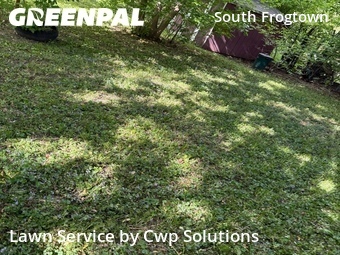 Lawn Mowing Service nearby Saint Paul, MN, 