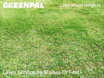 Grass Cutting nearby Atlanta, GA, 