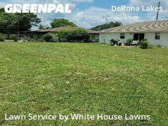 Grass Cutting nearby Deltona, FL, 