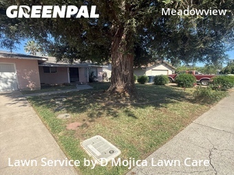 Grass Cut nearby Sacramento, CA, 