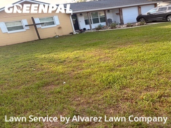 Lawn Cut nearby Apopka, FL, 
