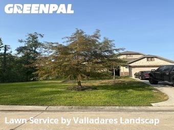 Lawn Cut nearby Conroe, TX, 