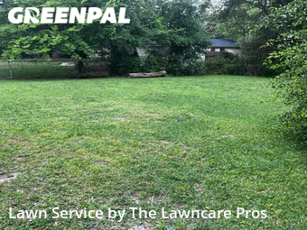 Yard Cutting nearby Fayetteville, NC, 