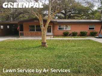 Lawn Cutting nearby Brooksville, FL, 