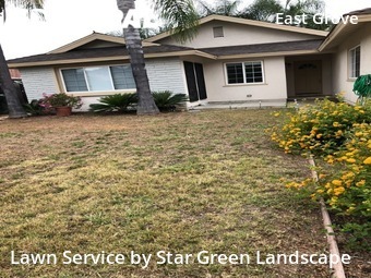 Lawn Care Service nearby Escondido, CA, 