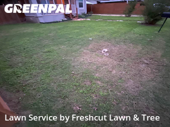 Yard Cutting nearby Seguin, TX, 