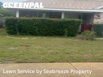 Grass Cutting nearby Navarre, FL, 