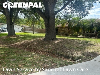 Lawn Mow nearby Sarasota, FL, 