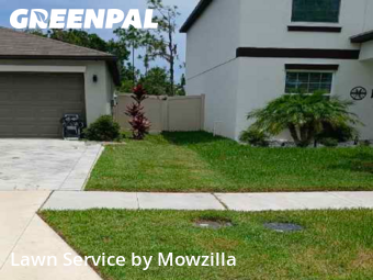 Grass Cutting nearby Sun City Center, FL, 