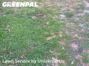 Lawn Care Service nearby Sunrise, FL, 