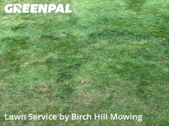 Grass Cutting nearby East Bridgewater, MA, 