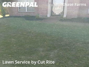 Grass Cut nearby Arlington, AR, 