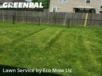 Grass Cut nearby Indianapolis, IN, 