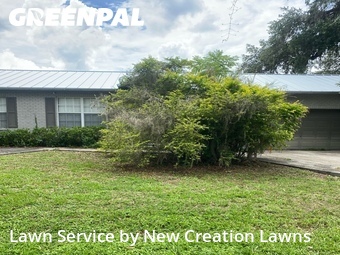 Lawn Cuttingin Brandon,33594,Grass Cutting by New Creation Lawns, work completed in Jun , 2026