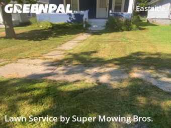 Grass Cut nearby Lansing, MI, 