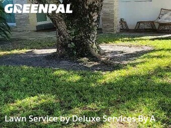 Grass Cutting nearby Fort Lauderdale, FL, 