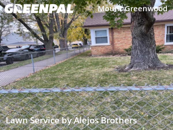 Yard Cuttingin Chicago,60655,Yard Cutting by Alejos Brothers, work completed in Feb , 2026