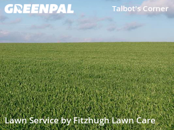 Lawn Care nearby Nashville, TN, 