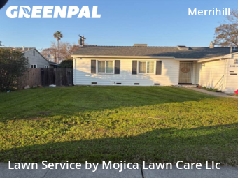 Work completed by grass-trimming-service-in-Carmichael-CA