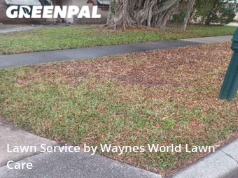 Grass Cutting nearby Seminole, FL, 
