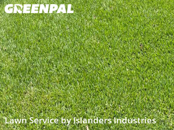 Grass Cutting nearby Prairieville, LA, 