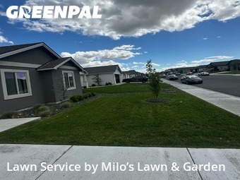 Lawn mowed in Pasco, 99301