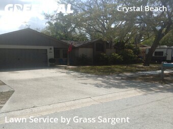 Grass Cutting nearby Palm Harbor, FL, 