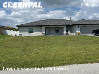 Grass Cut nearby Cape Coral, FL, 
