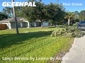 Yard Mowing nearby Palm Coast, FL, 