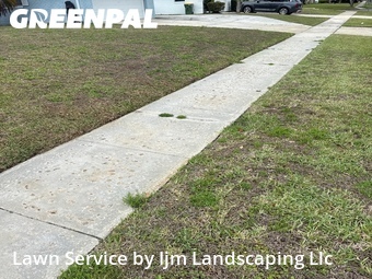 Lawn Cut nearby Belle Isle, FL, 