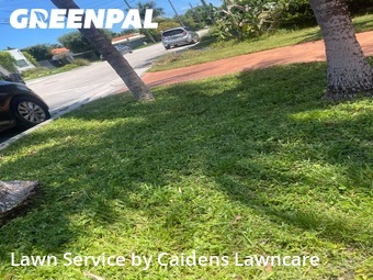 Lawn Maintenance nearby Surfside, FL, 