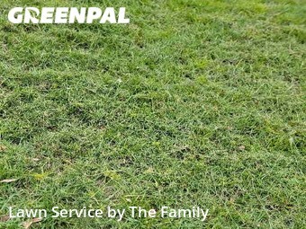 Lawn Mowing nearby Orlando, FL, 