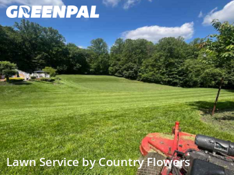 Lawn Care Service nearby Fairfax Station, MD, 