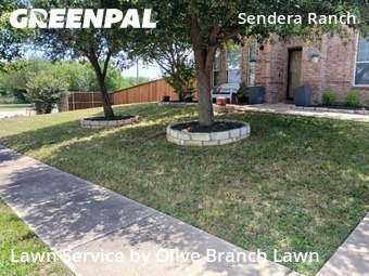 Grass Cut nearby Haslet, TX, 