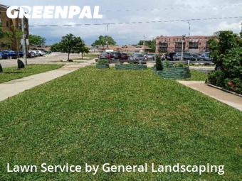 Garden Trimming in Elmwood Park, 60707, Yard Work by General Landscaping , work completed in Nov , 2025