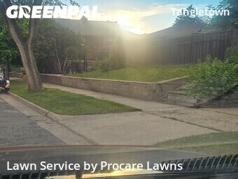 Yard Cutting nearby Minneapolis, MN, 