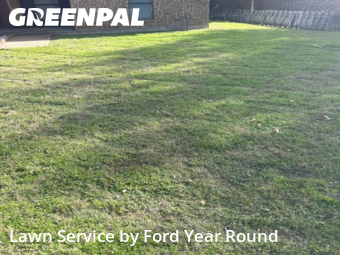 Yard Cutting nearby Fort Worth, TX, 