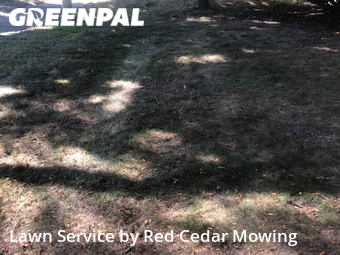 Yard Cutting nearby Lansing, MI, 