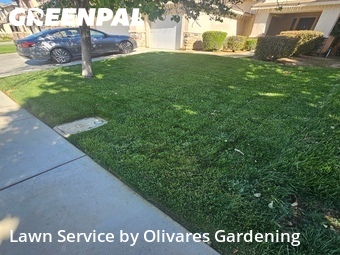 Lawn Mowing nearby Palmdale, CA, 