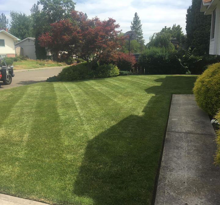 local-lawn-care-services-in-Kennewick-WA