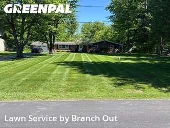 Lawn Cutting nearby Elma Center, NY, 